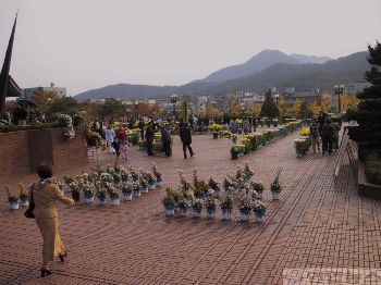 국화의 계절
