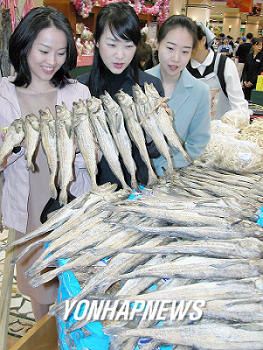 `햇황태 출시