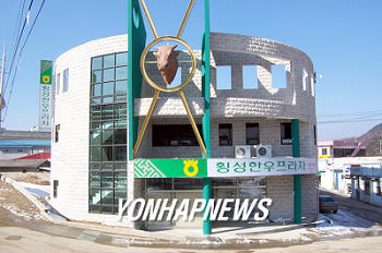 횡성 한우플라자 개장