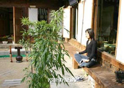  인사동에 명상찻집 `명상아루이 선 오픈