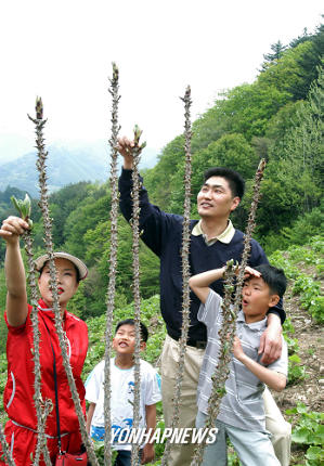 산나물도 캐고 희망도 캐고