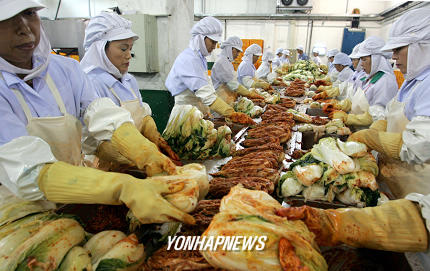 채소값 금값여파로 손길 바쁜 김치공장