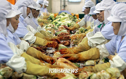 채소값 금값여파로 손길 바쁜 김치공장