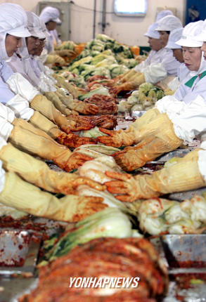 채소값 금값여파로 손길 바쁜 김치공장