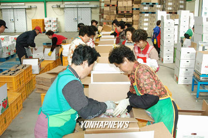 경북 예천사과 대만 수출 본격화