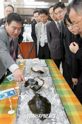 싱싱회는 깔끔.간편.저렴해요