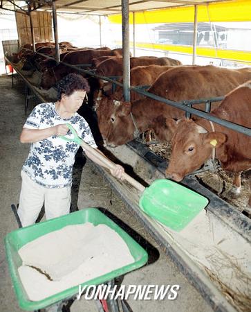 함평 `無항생제 한우고기 생산