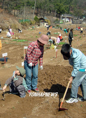 텃밭 일구기
