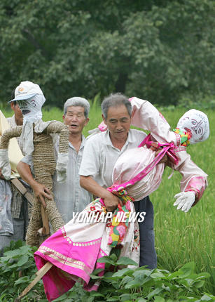 허수아비 마을로 구경오세요!