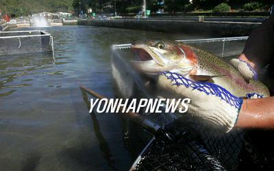 <국내산 마저… 송어ㆍ향어횟집 `직격탄>
