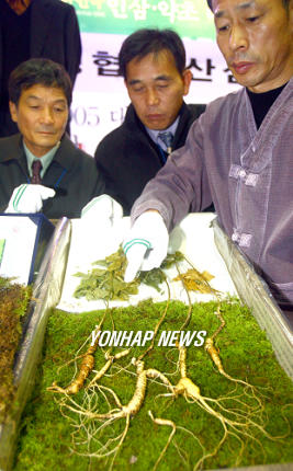 경매나온 1백10년 된 산삼 공개