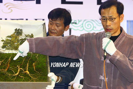 경매나온 1백10년 된 산삼 공개