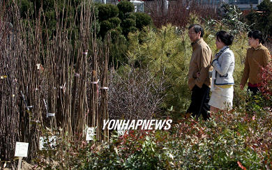 산림조합 봄철 나무시장 개장