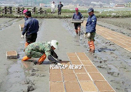전주에  첫 못자리 설치