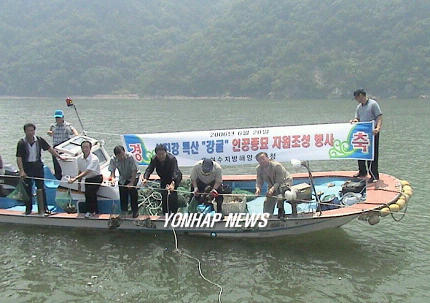 `강굴 인공 종묘 살포