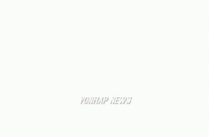 법무부 출입국관리국 VI(Visual Identity) 로고타입