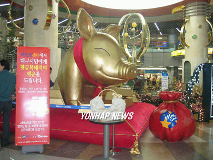 황금 복돼지 대구에 떴습니다
