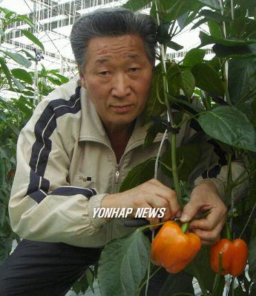 수해 딛고 재기한 농민