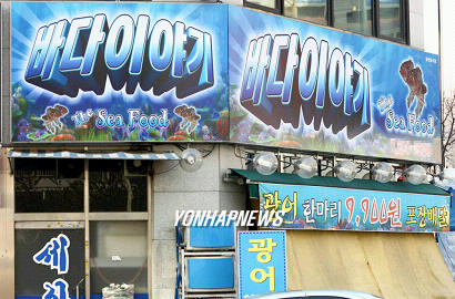 성인오락실 `바다이야기 간판 단 횟집