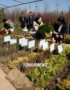 산림조합 봄철 나무시장 개장