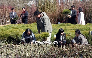 산림조합 봄철 나무시장 개장