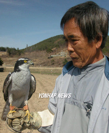 30년 매사냥 박정오씨