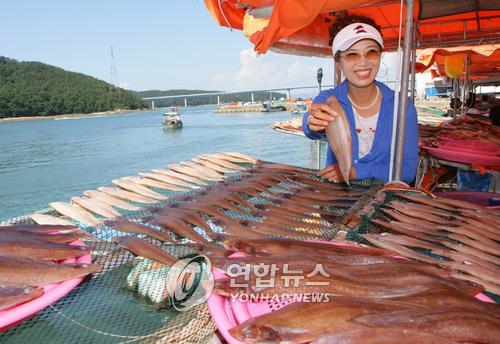 <카메라뉴스> 무더위 보양식은 건어물이 최고