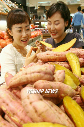 햇 호박고구마 맛 보세요!