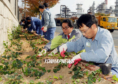 울산공단에 아이비를