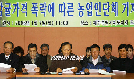 제주농업인단체협의회 감귤 살리자