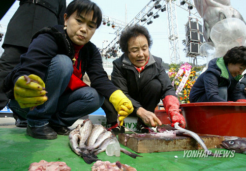명태축제 고성 명태가 최고