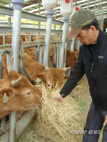 가격폭락 뻔한 일 축산농가 `한숨