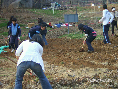 체험학습장으로 변신한 학교 부지