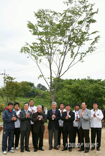대전 김 호 감독 200승 기념식수