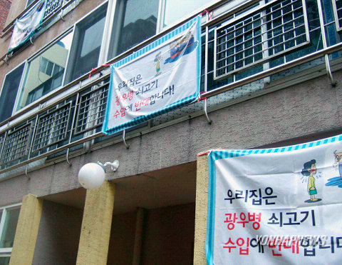 부산서도 美쇠고기 반대 현수막달기 확산