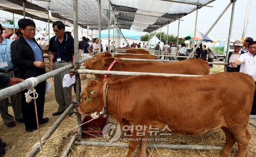강원축산한마당잔치