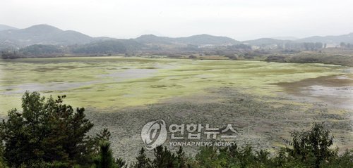 <르포> 미리 가본 람사르총회 창녕 우포늪