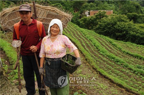 사진에 담은 `하늘아래 첫동네 풍경