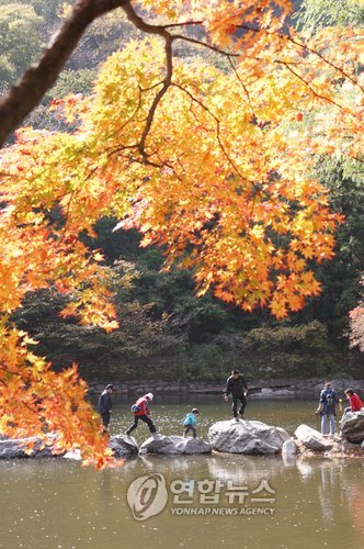 <환경열차 가을여행 5選> ②정읍 내장산
