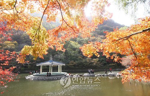 <환경열차 가을여행 5選> 정읍 내장산