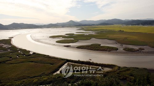 갈대축제 열리고 있는 순천만