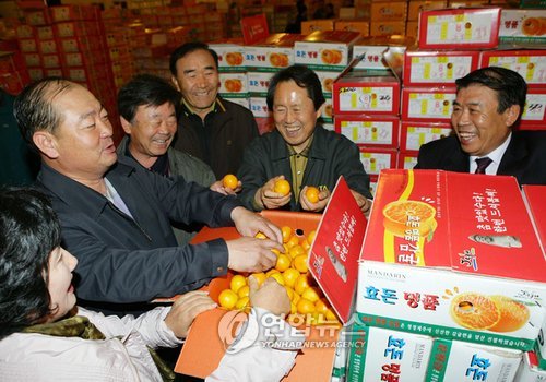 제주지사, 감귤유통상황 점검
