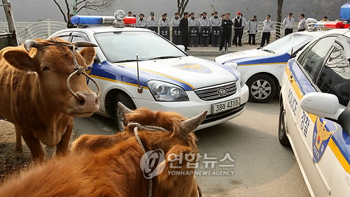 한우 우리는 농민대회 못가나요