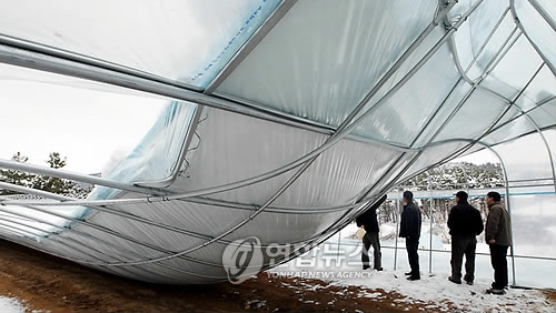 피해조사