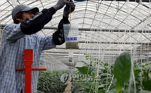 시설농가도 탄산가스 부족..농산물 생산 차질