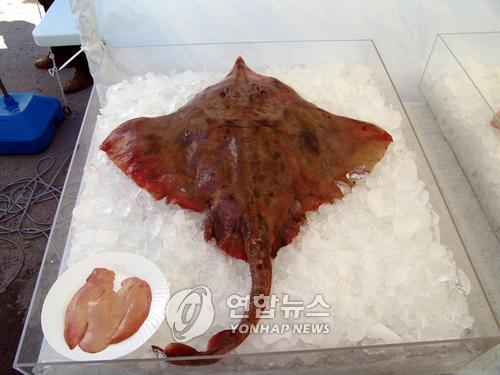 나주 영산포 홍어 산업화 추진