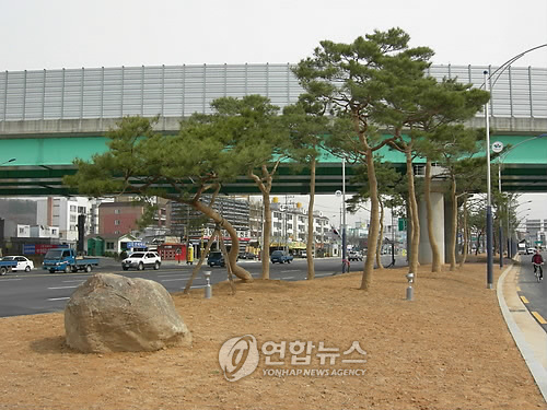 대구 반야월삼거리 `도시숲 조성