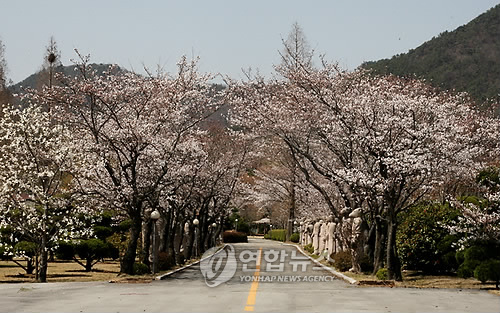 박연차 회장의 금호가든