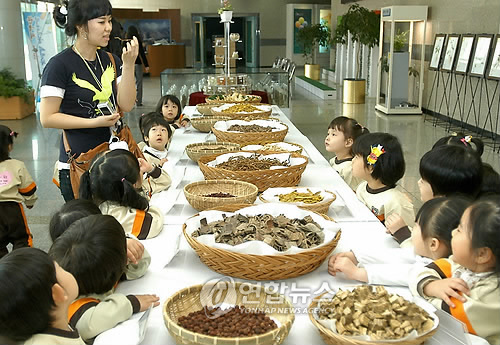 우리 약초 구경왔어요