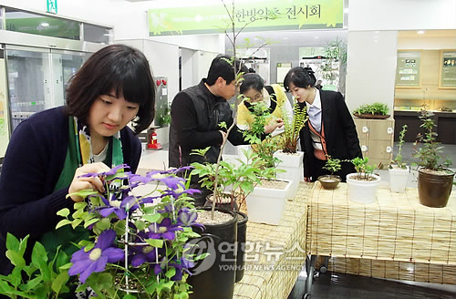 <카메라뉴스> 어디에 쓰는 약초일까?